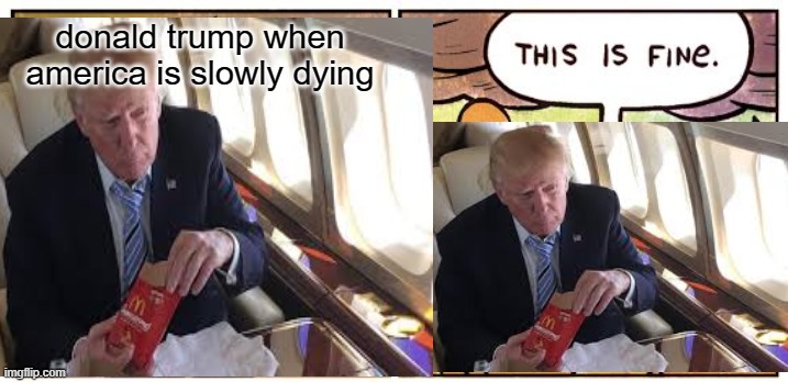 trump | donald trump when america is slowly dying | image tagged in donald trump | made w/ Imgflip meme maker