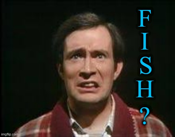 So Long, and Thanks for All the Fish | F; I; S; H; ? | image tagged in simon jones as arthur dent,fish,42,hitchhiker's guide to the galaxy | made w/ Imgflip meme maker