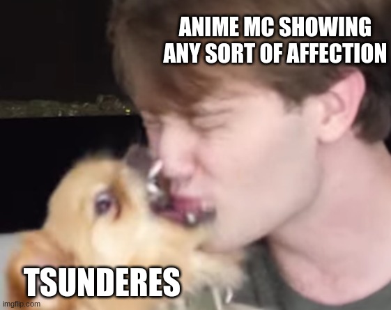 why can't we all just get along | ANIME MC SHOWING ANY SORT OF AFFECTION; TSUNDERES | image tagged in doggo_no_agree,anime,anime girl | made w/ Imgflip meme maker