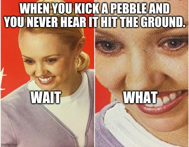 WAIT WHAT? | WHEN YOU KICK A PEBBLE AND YOU NEVER HEAR IT HIT THE GROUND. WAIT                        WHAT | image tagged in wait what | made w/ Imgflip meme maker