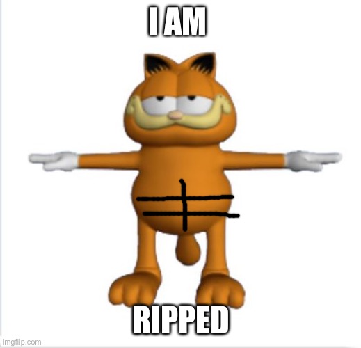 garfield t-pose | I AM RIPPED | image tagged in garfield t-pose | made w/ Imgflip meme maker