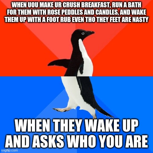 not the most orignal but I had my own take on it so here | WHEN UOU MAKE UR CRUSH BREAKFAST, RUN A BATH FOR THEM WITH ROSE PEDDLES AND CANDLES, AND WAKE THEM UP WITH A FOOT RUB EVEN THO THEY FEET ARE NASTY; WHEN THEY WAKE UP AND ASKS WHO YOU ARE | image tagged in memes,socially awesome awkward penguin | made w/ Imgflip meme maker