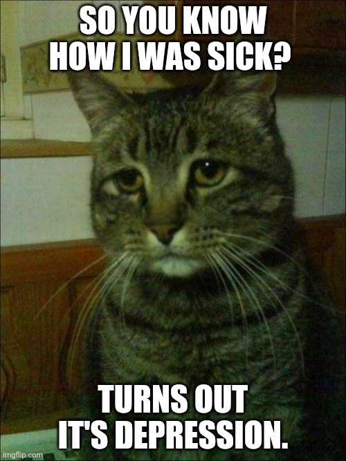 Depressed Cat | SO YOU KNOW HOW I WAS SICK? TURNS OUT IT'S DEPRESSION. | image tagged in memes,depressed cat | made w/ Imgflip meme maker