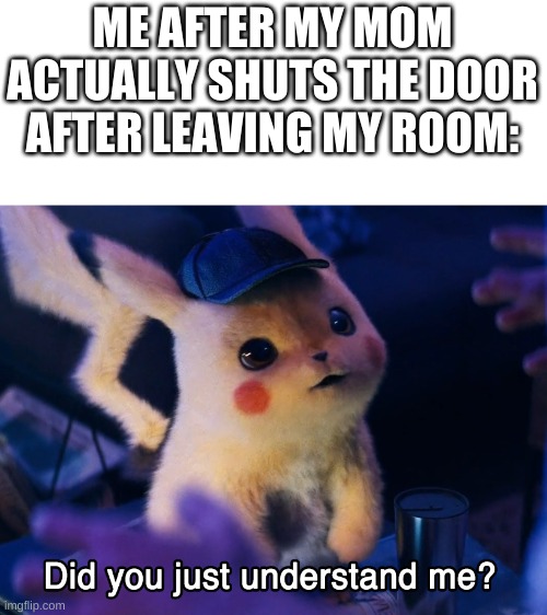 Did u understand me? | ME AFTER MY MOM ACTUALLY SHUTS THE DOOR AFTER LEAVING MY ROOM: | image tagged in did u understand me | made w/ Imgflip meme maker