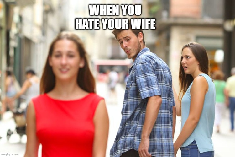 Distracted Boyfriend Meme | WHEN YOU HATE YOUR WIFE | image tagged in memes,distracted boyfriend | made w/ Imgflip meme maker
