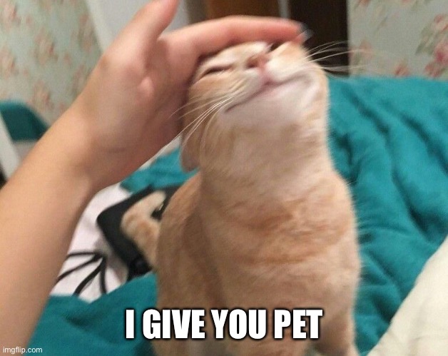 praise cat | I GIVE YOU PET | image tagged in praise cat | made w/ Imgflip meme maker