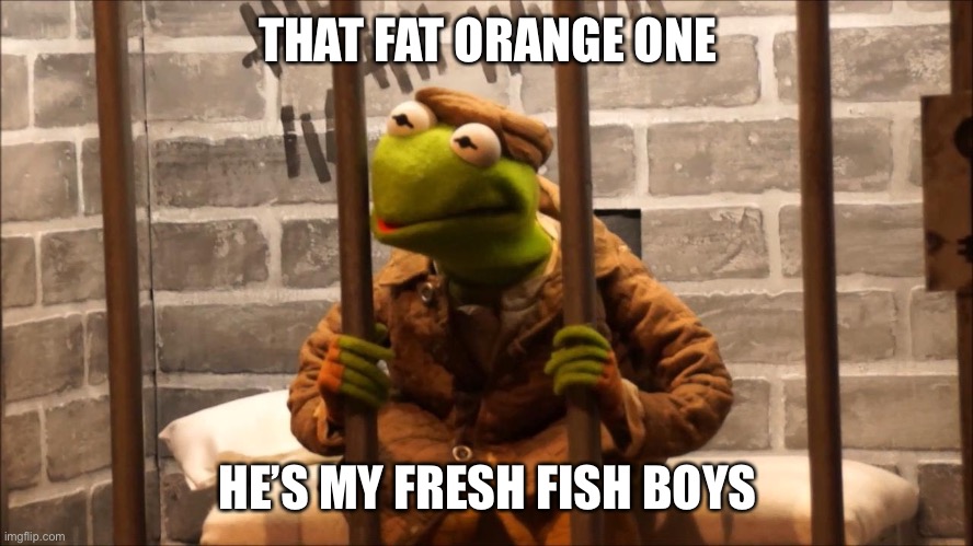 Kermit in jail | THAT FAT ORANGE ONE HE’S MY FRESH FISH BOYS | image tagged in kermit in jail | made w/ Imgflip meme maker