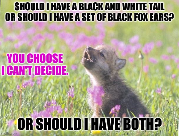 Choose little wolf | SHOULD I HAVE A BLACK AND WHITE TAIL OR SHOULD I HAVE A SET OF BLACK FOX EARS? YOU CHOOSE I CAN'T DECIDE. OR SHOULD I HAVE BOTH? | image tagged in memes,baby insanity wolf | made w/ Imgflip meme maker