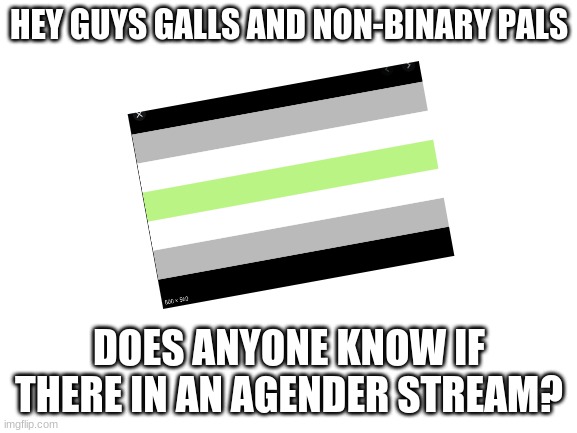 :))) | HEY GUYS GALLS AND NON-BINARY PALS; DOES ANYONE KNOW IF THERE IN AN AGENDER STREAM? | image tagged in blank white template | made w/ Imgflip meme maker