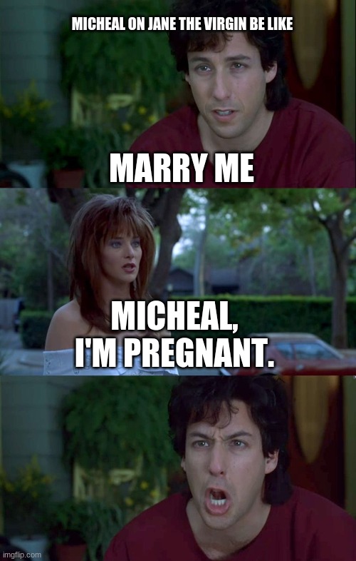 Adam Sandler Bad News | MICHEAL ON JANE THE VIRGIN BE LIKE; MARRY ME; MICHEAL, I'M PREGNANT. | image tagged in adam sandler bad news | made w/ Imgflip meme maker