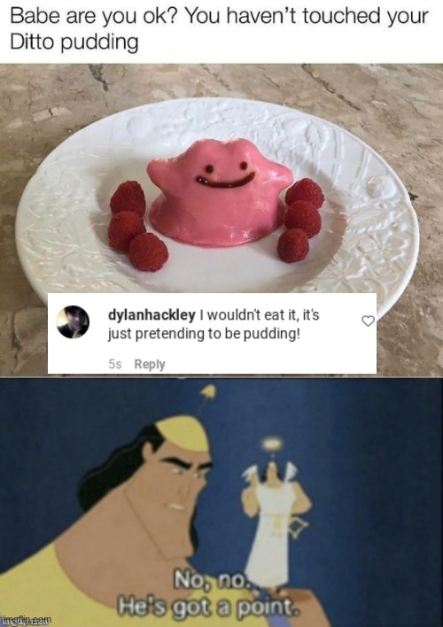 Why is Ditto in pudding form? I have no idea! | image tagged in no no hes got a point,memes,ditto,pokemon,pudding,funny | made w/ Imgflip meme maker