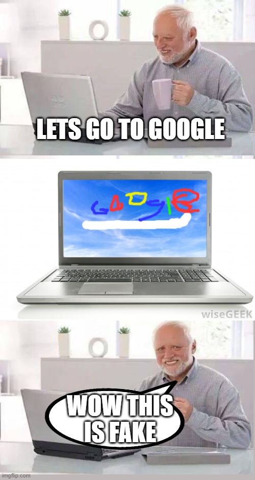 ¯\_(ツ)_/¯ | LETS GO TO GOOGLE; WOW THIS IS FAKE | image tagged in memes,hide the pain harold | made w/ Imgflip meme maker