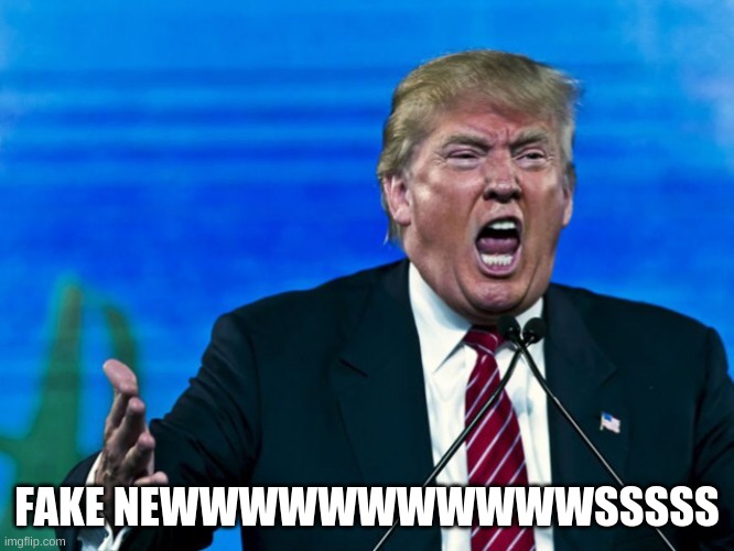 trump yelling | FAKE NEWWWWWWWWWWWSSSSS | image tagged in trump yelling | made w/ Imgflip meme maker