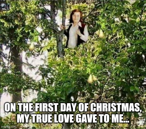 ON THE FIRST DAY OF CHRISTMAS, MY TRUE LOVE GAVE TO ME... | image tagged in christmas songs | made w/ Imgflip meme maker