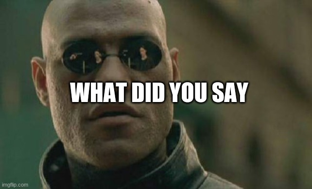 Matrix Morpheus | WHAT DID YOU SAY | image tagged in memes,matrix morpheus | made w/ Imgflip meme maker