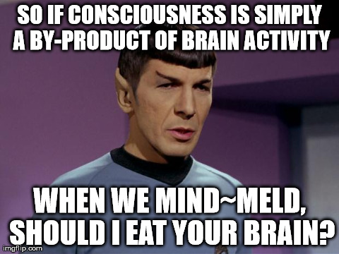 SO IF CONSCIOUSNESS IS SIMPLY A BY-PRODUCT OF BRAIN ACTIVITY WHEN WE MIND~MELD, SHOULD I EAT YOUR BRAIN? | image tagged in spock | made w/ Imgflip meme maker