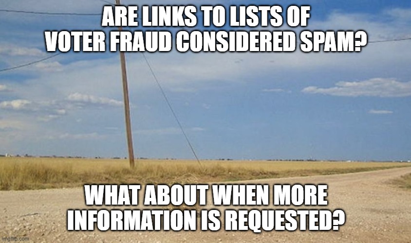 I'll provide the link on request. | ARE LINKS TO LISTS OF VOTER FRAUD CONSIDERED SPAM? WHAT ABOUT WHEN MORE INFORMATION IS REQUESTED? | image tagged in tumbleweed | made w/ Imgflip meme maker
