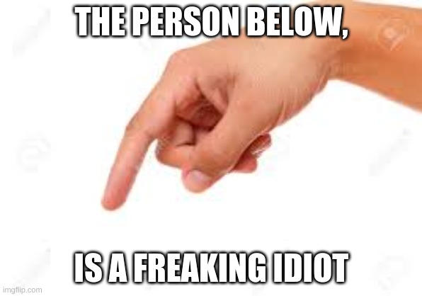 the person below | THE PERSON BELOW, IS A FREAKING IDIOT | image tagged in the person below | made w/ Imgflip meme maker