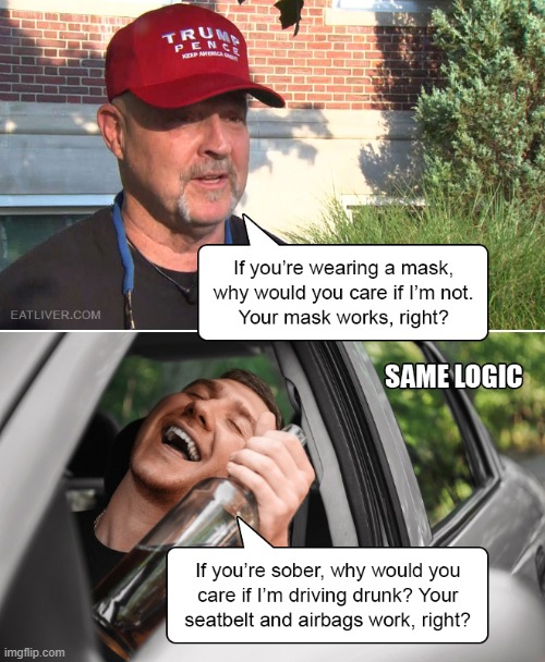 repost | image tagged in funny,memes,face mask,mask,wear a mask | made w/ Imgflip meme maker