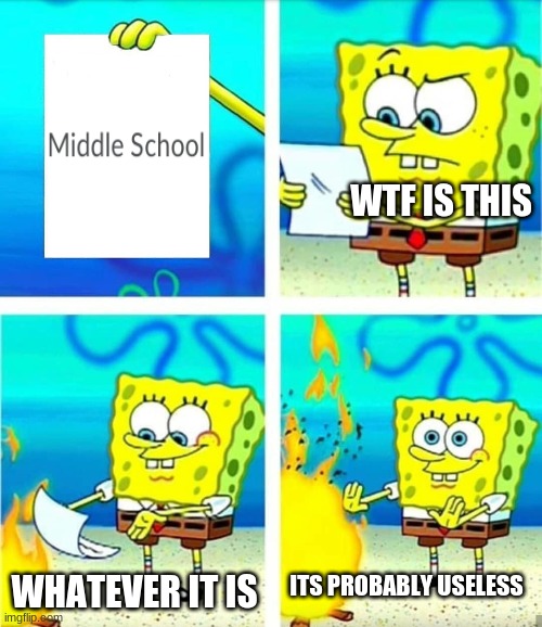 Spongebob Burn Note | WTF IS THIS; WHATEVER IT IS; ITS PROBABLY USELESS | image tagged in spongebob burn note | made w/ Imgflip meme maker