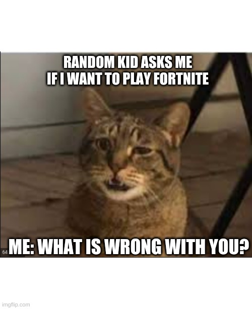 What is wrong with some people? | RANDOM KID ASKS ME IF I WANT TO PLAY FORTNITE; ME: WHAT IS WRONG WITH YOU? | image tagged in cat,confused cat | made w/ Imgflip meme maker