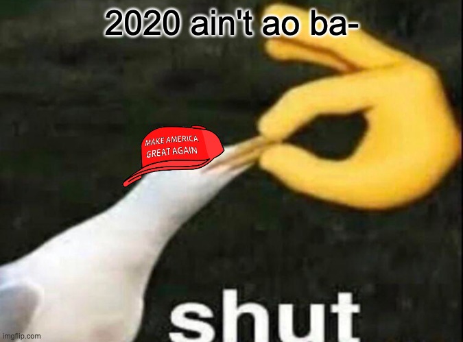 wHaT DiD yOu jUsT sAy?! | 2020 ain't ao ba- | image tagged in shut | made w/ Imgflip meme maker