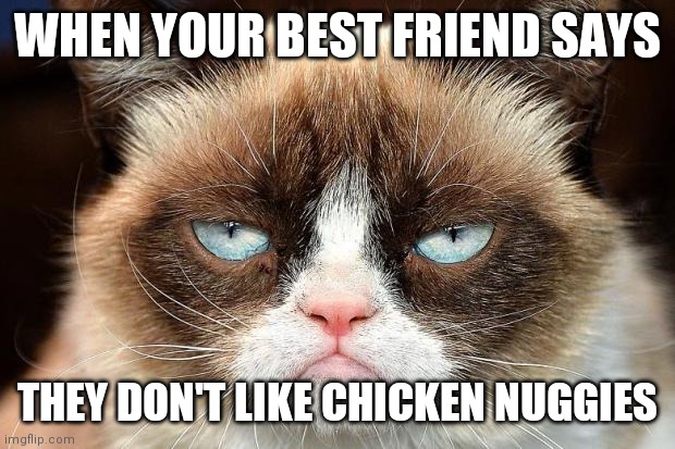 Grumpy Cat Not Amused | WHEN YOUR BEST FRIEND SAYS; THEY DON'T LIKE CHICKEN NUGGIES | image tagged in memes,grumpy cat not amused,grumpy cat | made w/ Imgflip meme maker