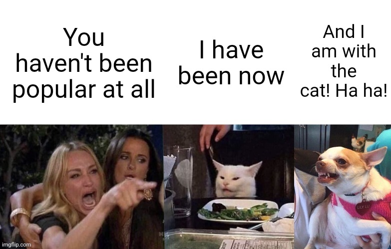 If it was a 3 panel | And I am with the cat! Ha ha! I have been now; You haven't been popular at all | image tagged in woman yelling at cat 3 panels,memes,woman yelling at cat,funny,dogs | made w/ Imgflip meme maker