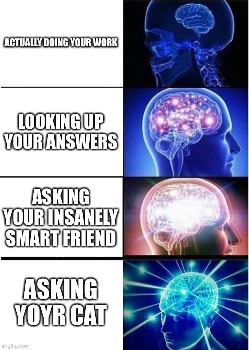 Expanding Brain | ACTUALLY DOING YOUR WORK; LOOKING UP YOUR ANSWERS; ASKING YOUR INSANELY SMART FRIEND; ASKING YOYR CAT | image tagged in memes,expanding brain,cats | made w/ Imgflip meme maker