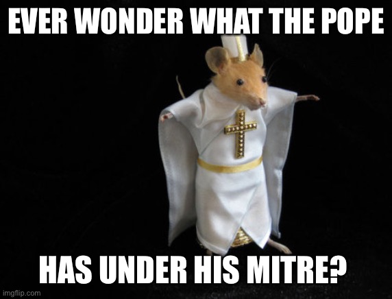 Mercersburg Mouse | EVER WONDER WHAT THE POPE; HAS UNDER HIS MITRE? | image tagged in mercersburg mouse | made w/ Imgflip meme maker