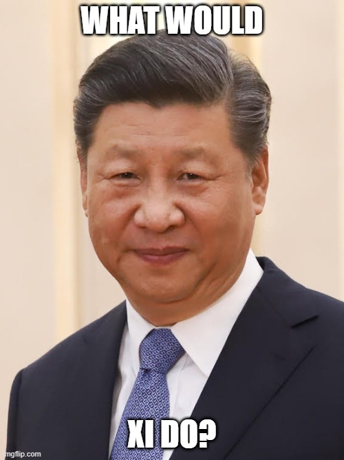 What would Xi do? | WHAT WOULD; XI DO? | image tagged in china | made w/ Imgflip meme maker