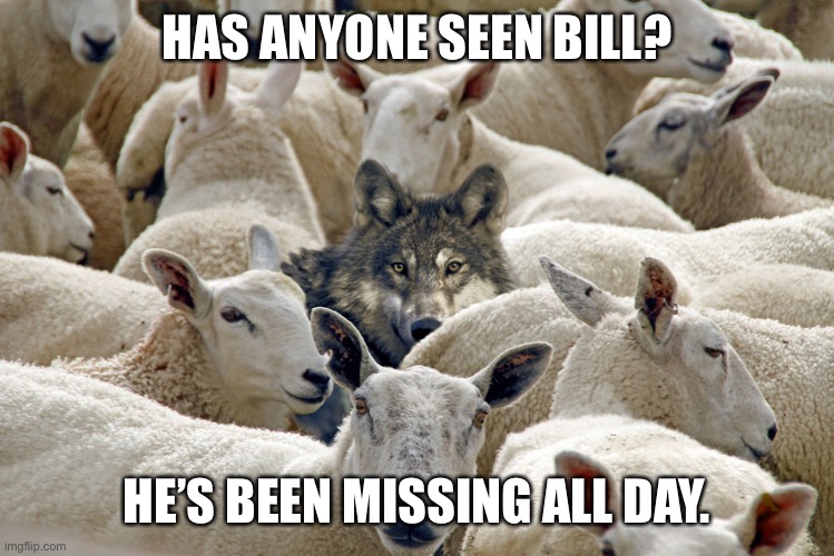 Wolf in Sheeps Clothing | HAS ANYONE SEEN BILL? HE’S BEEN MISSING ALL DAY. | image tagged in wolf in sheeps clothing | made w/ Imgflip meme maker