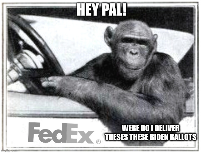 FedEx | HEY PAL! WERE DO I DELIVER THESES THESE BIDEN BALLOTS | image tagged in fedex | made w/ Imgflip meme maker