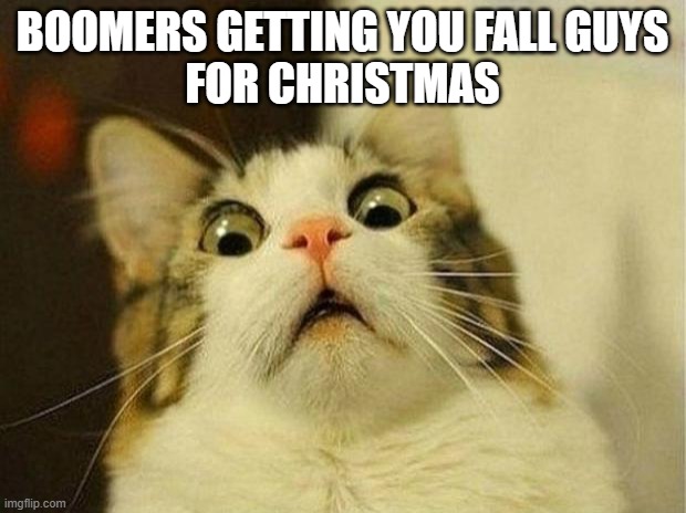 Boomer's Christmas gift | BOOMERS GETTING YOU FALL GUYS
FOR CHRISTMAS | image tagged in memes,scared cat | made w/ Imgflip meme maker