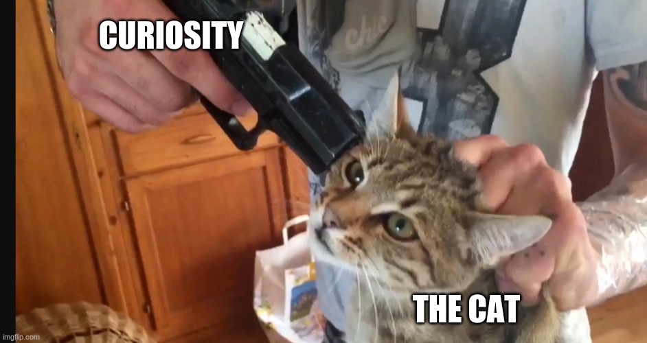 curiosity killed the cat | CURIOSITY; THE CAT | image tagged in guns | made w/ Imgflip meme maker
