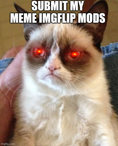 Submittt | SUBMIT MY MEME IMGFLIP MODS | image tagged in memes,grumpy cat,imgflip mods,imgflip | made w/ Imgflip meme maker