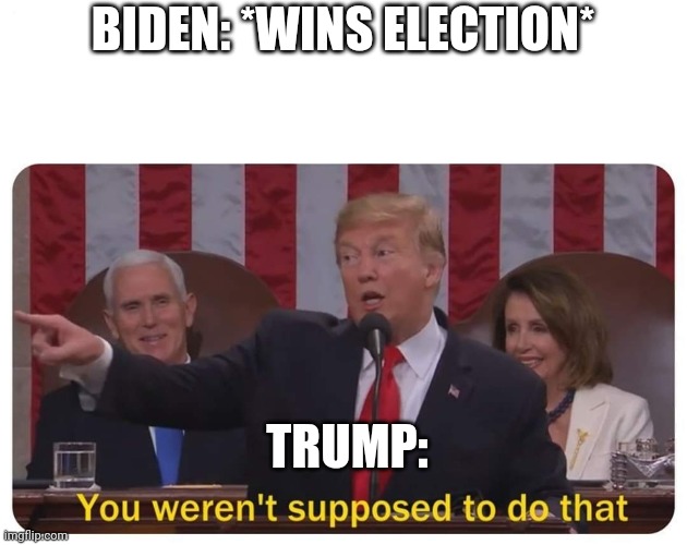 Was I supposed to make this meme? | BIDEN: *WINS ELECTION*; TRUMP: | image tagged in trump you weren't supposed to do that | made w/ Imgflip meme maker