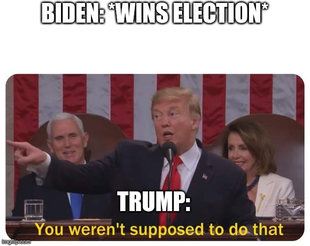 Was I supposed to make this meme? | BIDEN: *WINS ELECTION*; TRUMP: | image tagged in trump you weren't supposed to do that | made w/ Imgflip meme maker