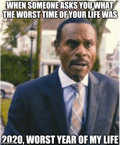 Worst Time Of Your Life | WHEN SOMEONE ASKS YOU WHAT THE WORST TIME OF YOUR LIFE WAS; 2020, WORST YEAR OF MY LIFE | image tagged in rufus | made w/ Imgflip meme maker
