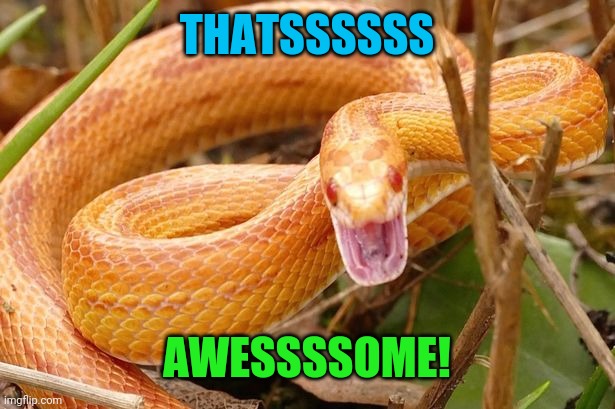 THATSSSSSS AWESSSSOME! | made w/ Imgflip meme maker