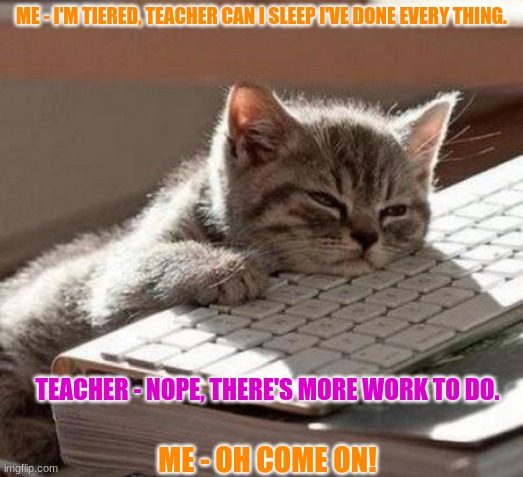 tired cat | ME - I'M TIERED, TEACHER CAN I SLEEP I'VE DONE EVERY THING. TEACHER - NOPE, THERE'S MORE WORK TO DO. ME - OH COME ON! | image tagged in tired cat | made w/ Imgflip meme maker