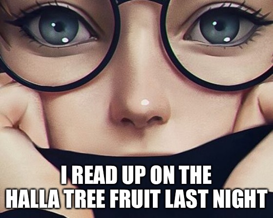 I READ UP ON THE HALLA TREE FRUIT LAST NIGHT | made w/ Imgflip meme maker