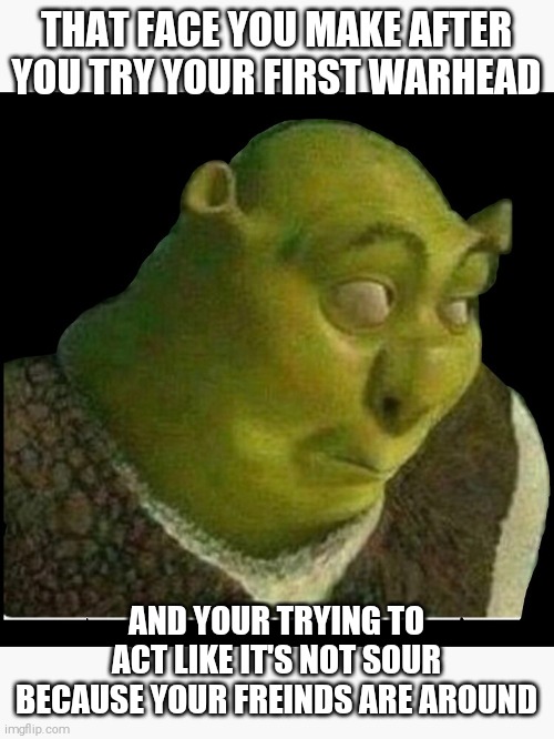 Warhead face | THAT FACE YOU MAKE AFTER YOU TRY YOUR FIRST WARHEAD; AND YOUR TRYING TO ACT LIKE IT'S NOT SOUR BECAUSE YOUR FREINDS ARE AROUND | image tagged in shrek,sour | made w/ Imgflip meme maker