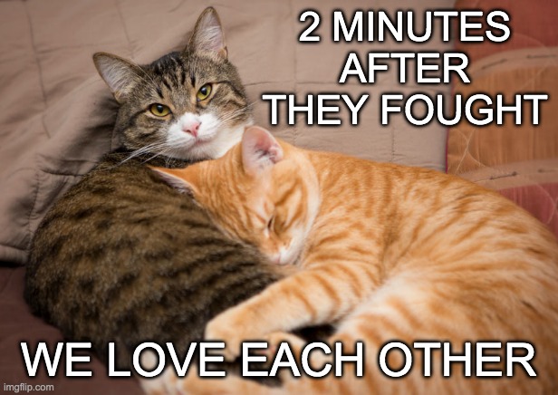 Just when you think they hate each other | 2 MINUTES AFTER THEY FOUGHT; WE LOVE EACH OTHER | image tagged in cuddling brothers,cats,cute,brothers | made w/ Imgflip meme maker