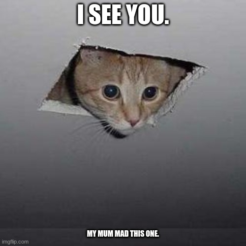 Ceiling Cat | I SEE YOU. MY MUM MAD THIS ONE. | image tagged in memes,ceiling cat | made w/ Imgflip meme maker