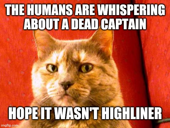Suspicious Cat |  THE HUMANS ARE WHISPERING ABOUT A DEAD CAPTAIN; HOPE IT WASN'T HIGHLINER | image tagged in memes,suspicious cat | made w/ Imgflip meme maker