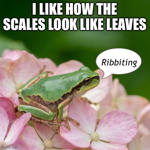 I LIKE HOW THE SCALES LOOK LIKE LEAVES Ribbiting | made w/ Imgflip meme maker