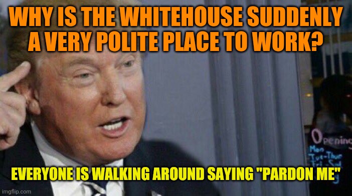 Trump Roll Safe | WHY IS THE WHITEHOUSE SUDDENLY A VERY POLITE PLACE TO WORK? EVERYONE IS WALKING AROUND SAYING "PARDON ME" | image tagged in trump roll safe | made w/ Imgflip meme maker