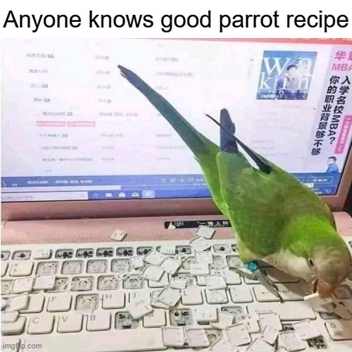 I prefer parrot soup | Anyone knows good parrot recipe | made w/ Imgflip meme maker