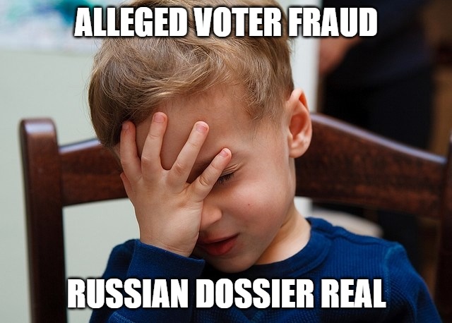 Fake vs Real | ALLEGED VOTER FRAUD; RUSSIAN DOSSIER REAL | image tagged in dossier,fraud,voter,russian | made w/ Imgflip meme maker
